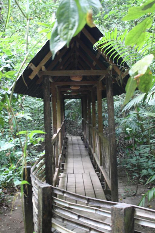 فندق Reserva Ecologica Nanciyaga كاتيماكو المظهر الخارجي الصورة