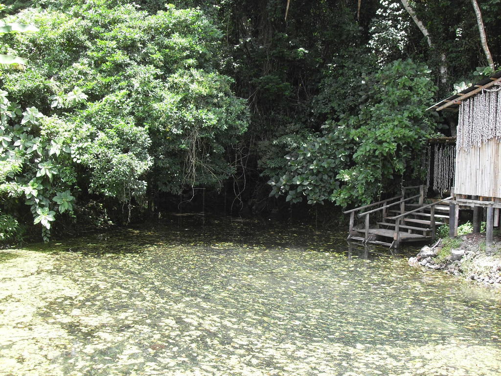 Reserva Ecologica Nanciyaga كاتيماكو المظهر الخارجي الصورة