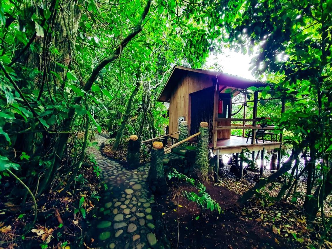 Reserva Ecologica Nanciyaga كاتيماكو المظهر الخارجي الصورة